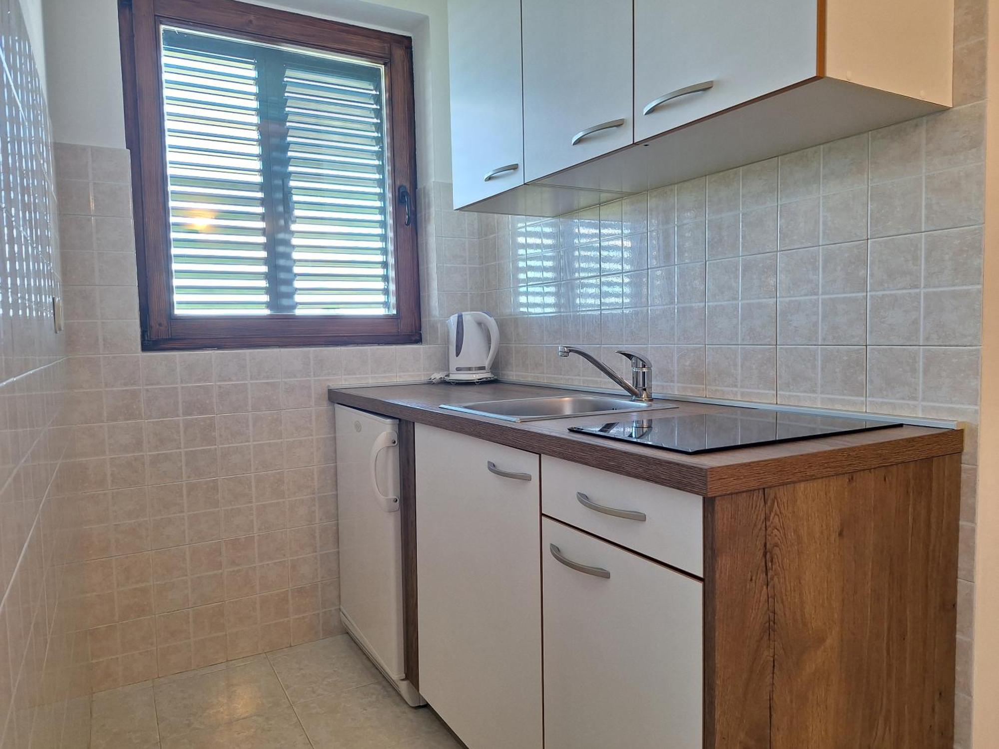 Apartment Saric *